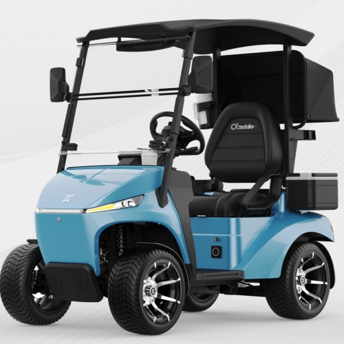 Je elektrický golfový vozík SLEDOVÁNÍ AI budoucností chytřejší a efektivnější golfové dopravy