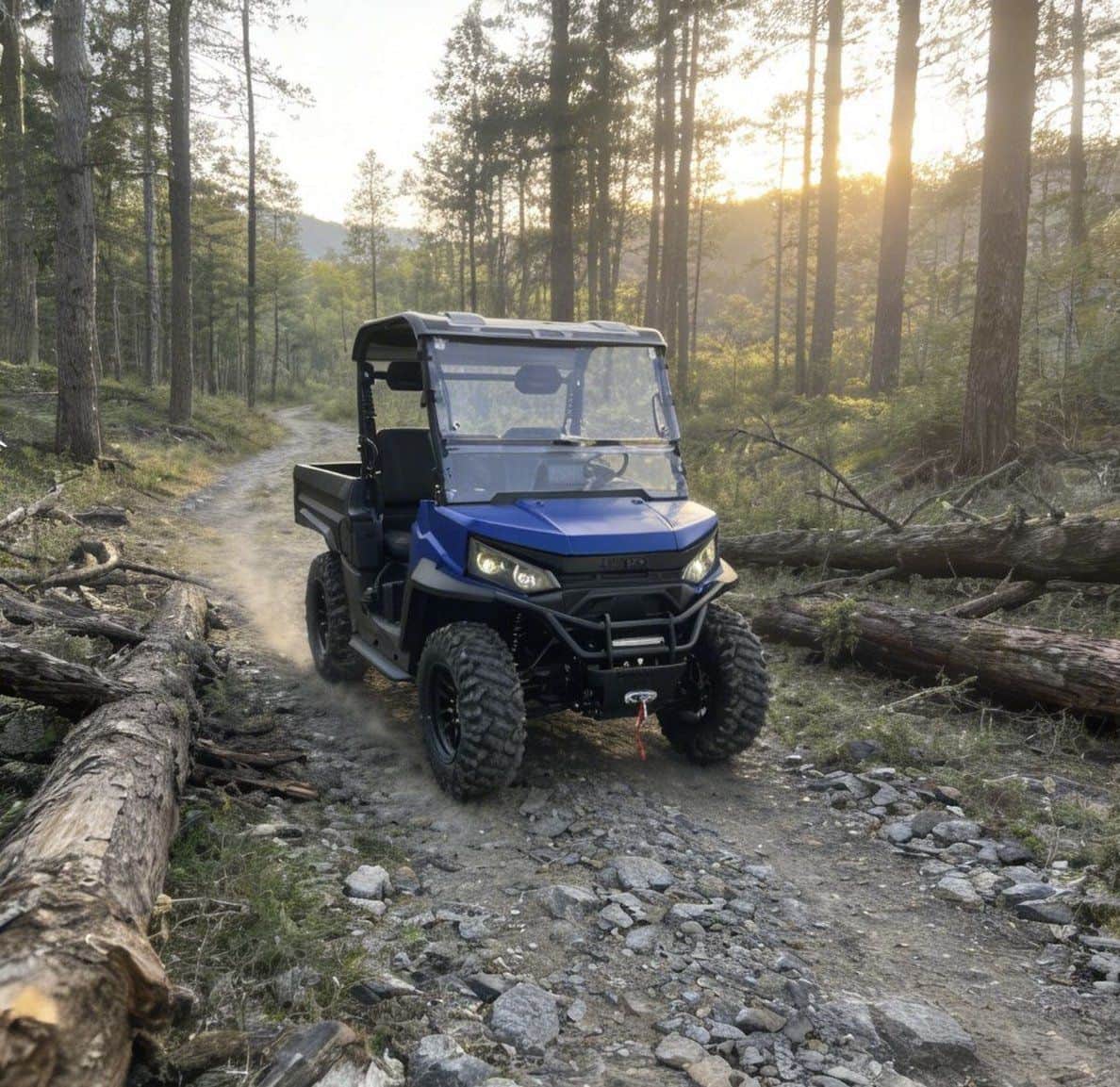 4WD Electric Ranch UTV Farm 73,6V 150Ah ovladač 20KW Peak